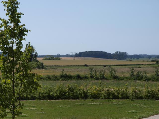 Feriendorf Alte Schmiede Mellenthin Room photo